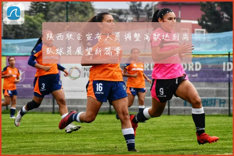 陕西联合宣布人员调整高歌送别离队球员展望新篇章